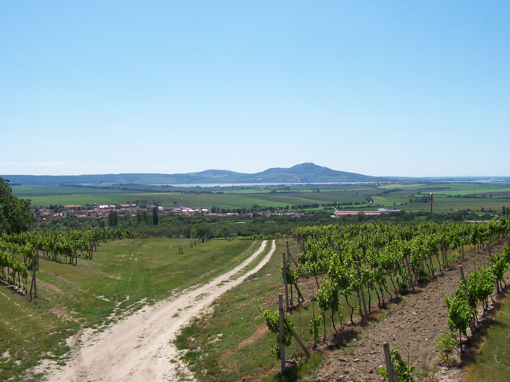 vinařské rozhledny 025