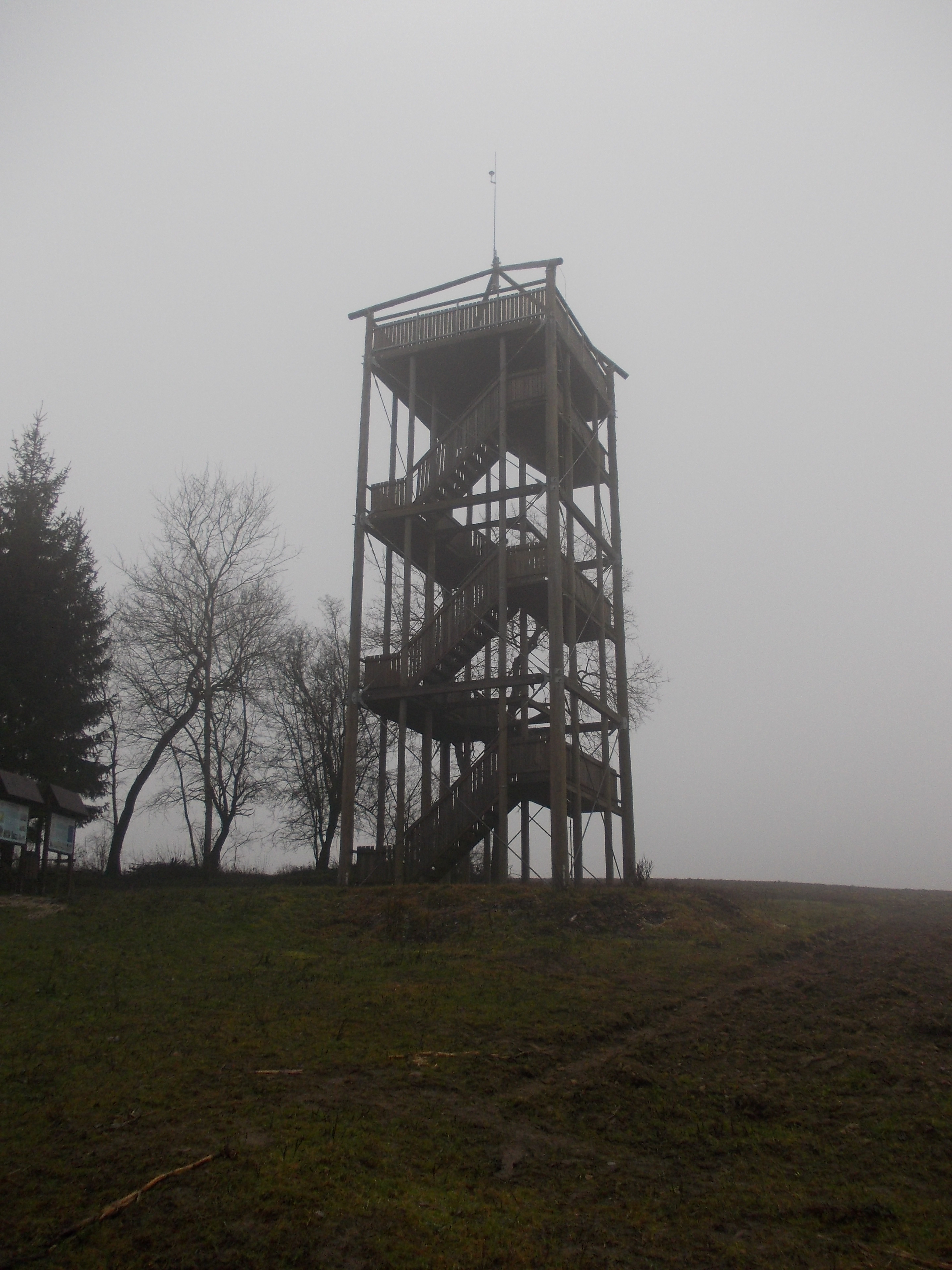 DSCN2176